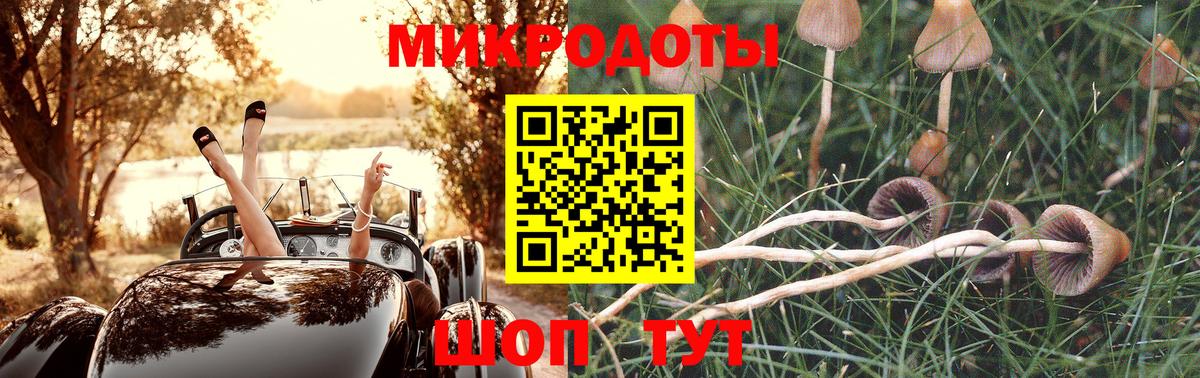Курганинск  Галлюциногенные грибы MAGIC MUSHROOMS  Вход с VPN 
