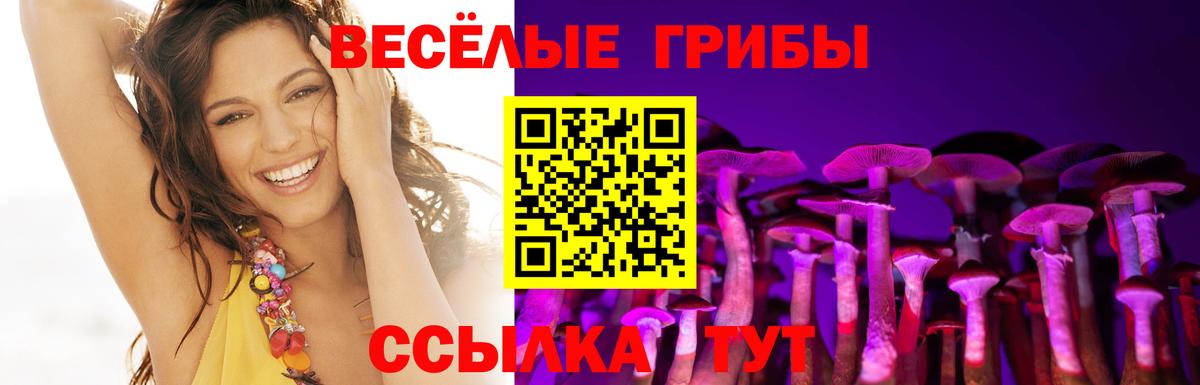 Псилоцибиновые грибы GOLDEN TEACHER Курганинск